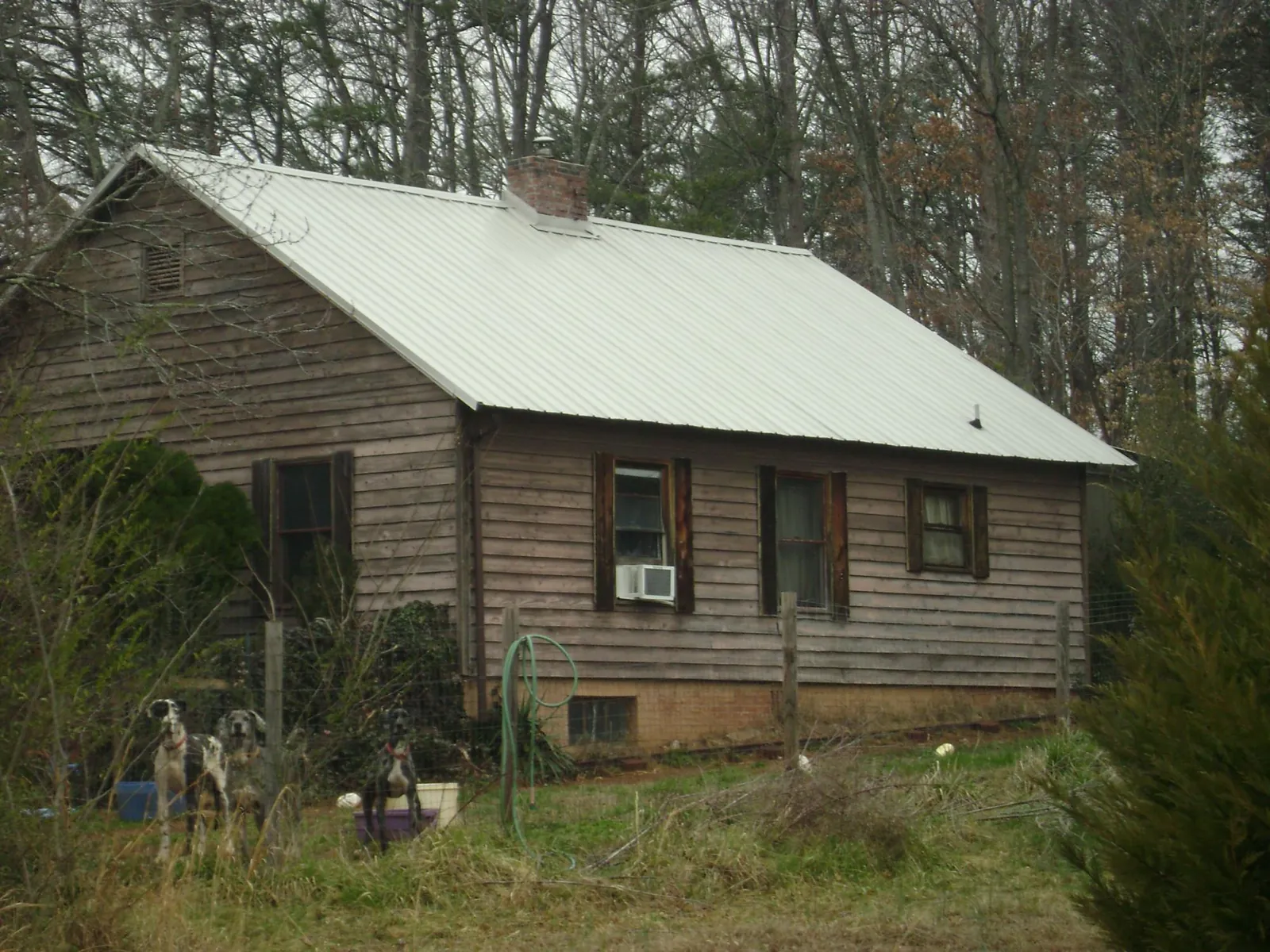 White metal roof on an old wood sided farmhouse, from a Asphalt Shingle Roof Repair job in Mazon